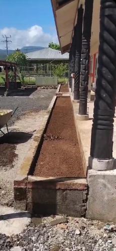 Billede fra billedgalleriet på Uncle Ben's i Apia