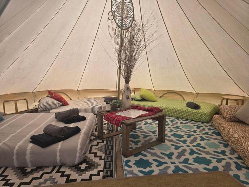 a room with two beds and a tent at Coastal Glamp at Bellarine Estate winery in Bellarine