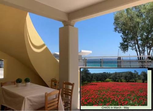 Blue Flag Award Winning Ormos Lo Beach: Home 1