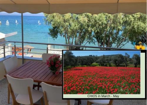 Blue Flag Award Winning Beach: Home 2