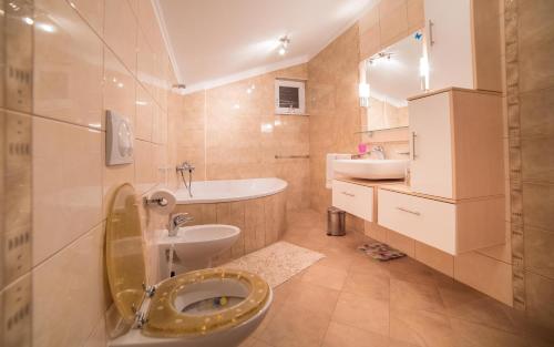 ラブにあるCaptain's Apartmentのトイレと洗面台のあるバスルーム