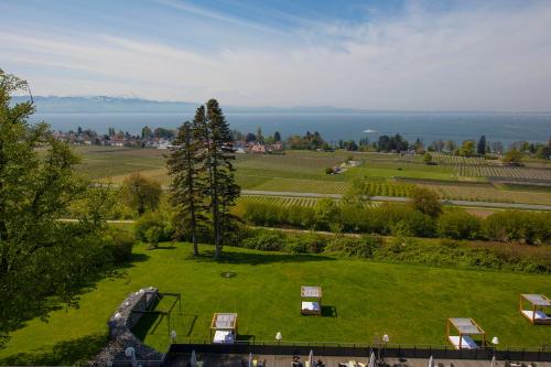 an aerial view of a green field with a tree at Bodensee-Hotel Sonnenhof in Kressbronn am Bodensee
