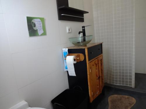 een badkamer met een wastafel en een toilet bij Peter&Trienke's Bed&Brochje in Stiens