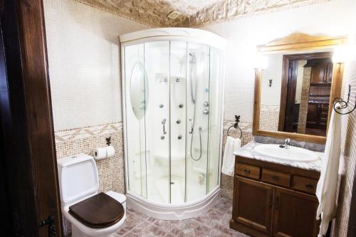 a bathroom with a shower and a toilet and a sink at Alojamientos Rurales Benarum con Spa in Alpujarra De La Sierra