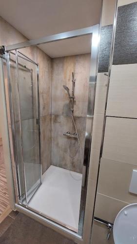a shower with a glass door in a bathroom at Apartmán REZE Šumava in Železná Ruda