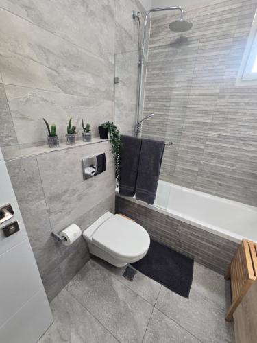a bathroom with a toilet and a shower and a tub at Luxury Queen Mountian in Eilat