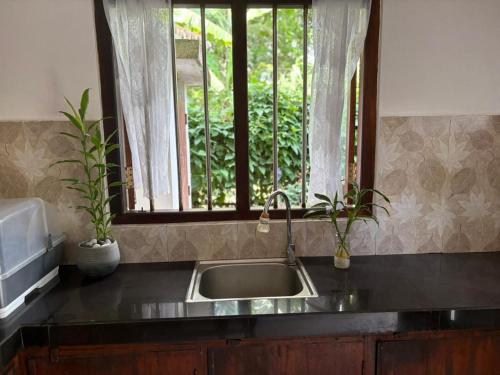 a kitchen sink with a window and two potted plants at John's Homestay in Talpe