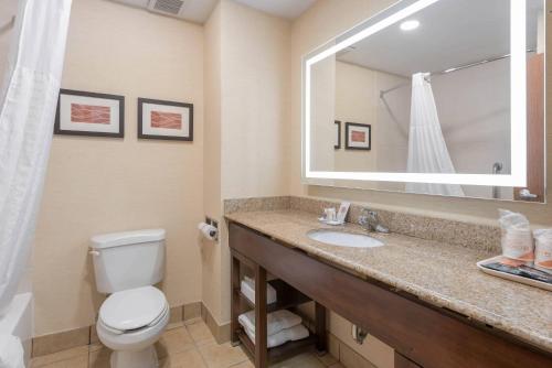 a bathroom with a toilet and a sink and a mirror at Comfort Inn Grove City - Columbus South in Grove City