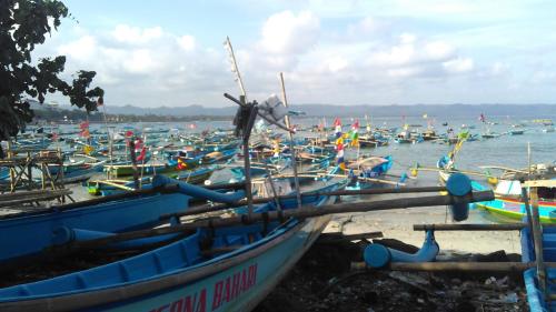 a bunch of boats are lined up on the beach at Mini Tiga Homestay in Pangandaran