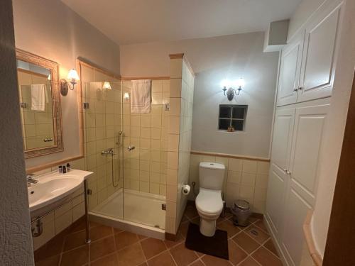 a bathroom with a toilet and a shower and a sink at Nostalgia Guesthouse Arachova in Arachova