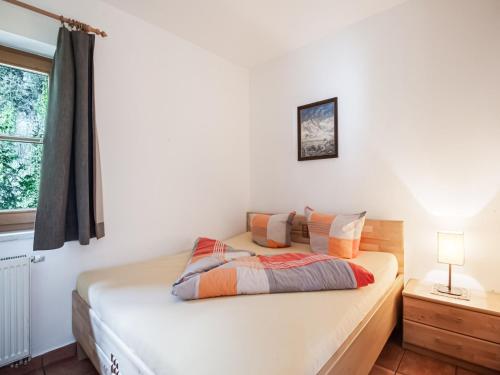 Comfortable Apartment in Mayrhofen with Garden