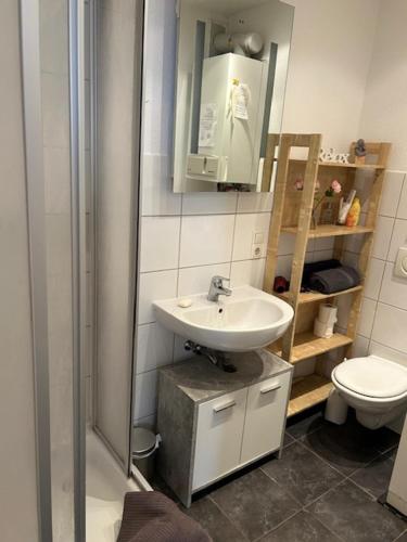 a bathroom with a sink and a toilet at Rheingold inklusive einer Flasche Sekt in Koblenz