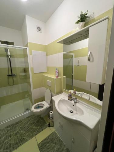 a bathroom with a sink and a toilet and a shower at Apartman IRIS Podhajska in Podhájska