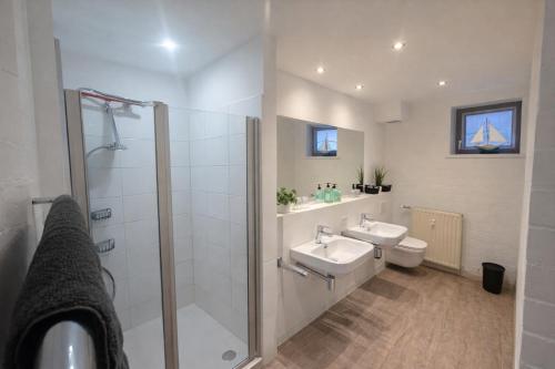 a bathroom with a shower and a sink and a toilet at Charmante FeWo in Dorflage in Ebersdorf