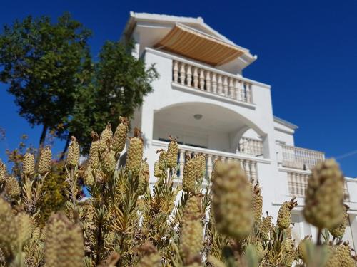 Apartments Adriatic
