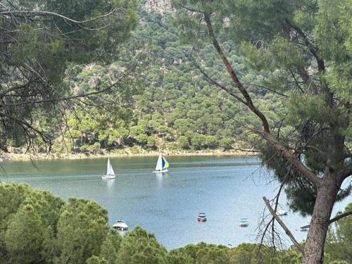 two sailboats on a lake with trees in the foreground at Beachside San Martin de Valdeiglecias in San Martín de Valdeiglesias