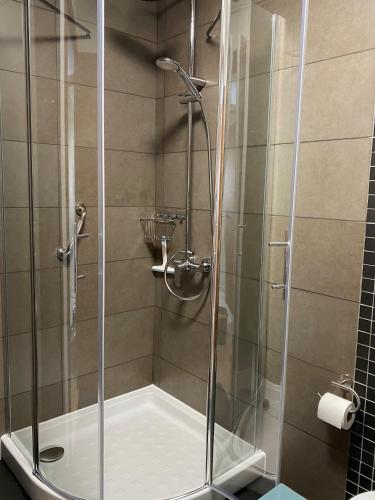 a shower with a glass door in a bathroom at Appartement Mimosa Croisette in Cannes
