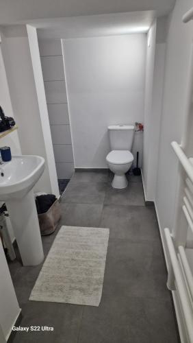 Résidence Pro tesisinde bir banyo