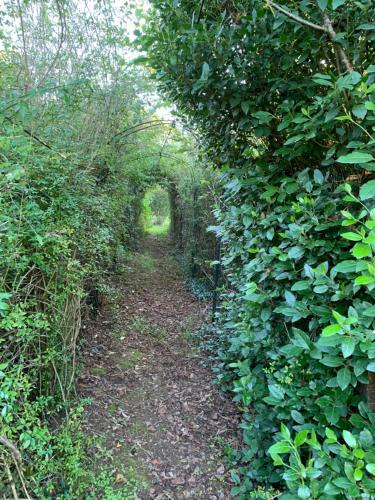 a path through a hedge with an arch in a forest at Serenane in Saint-André-de-Najac