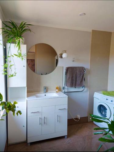 ein Badezimmer mit Waschbecken und Waschmaschine in der Unterkunft PēterGailis17 in Ventspils