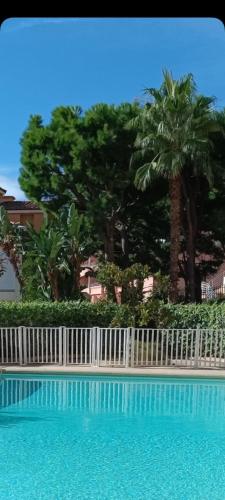 a swimming pool with a white fence and palm trees at Proche de Monaco appartement devant piscine in Beausoleil
