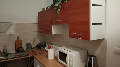 a kitchen with a counter top with a microwave at Hostel RAV in Tomaszów Mazowiecki