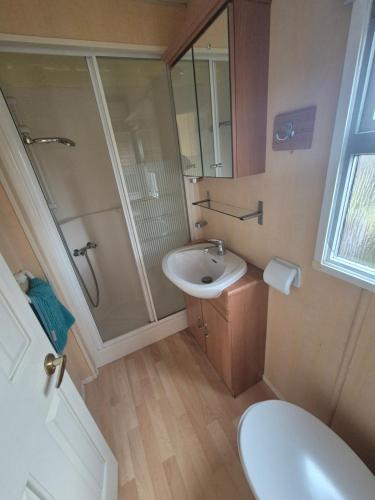 a bathroom with a sink and a shower and a toilet at Casa à leccia in Rapale