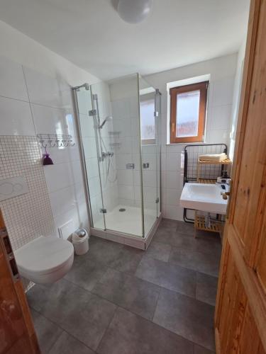 a bathroom with a shower and a toilet and a sink at Roubenka pod Čerťákem in Dolní Moravice