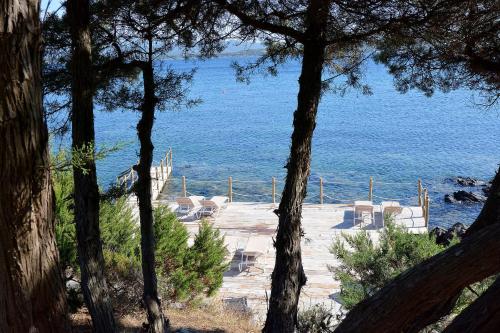 a view of the ocean from a group of trees at U Paviddonu in Porto-Vecchio
