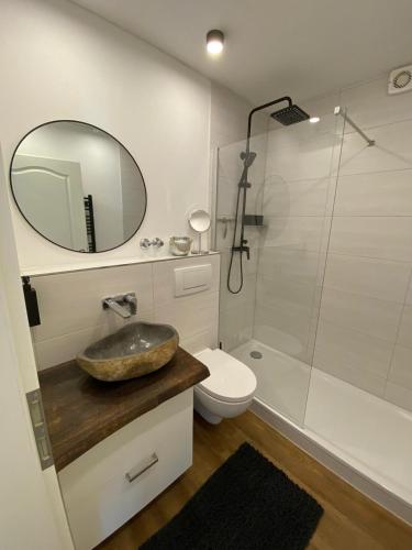 a bathroom with a sink and a toilet and a mirror at Chalet-Apartment Waldfrieden, in ruhiger Lage mit TG in Hahnenklee-Bockswiese