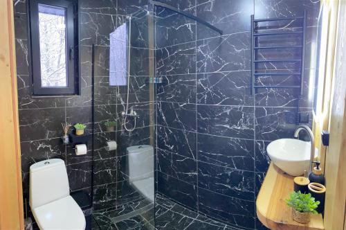 a black tiled bathroom with a toilet and a sink at Будиночок між річками Гирло in Iltsi