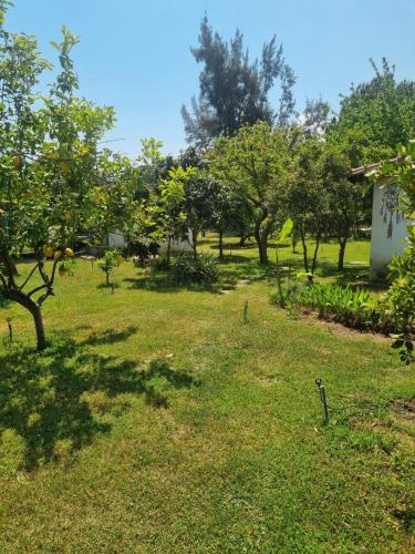 a field of grass with trees and a building at Şahmeran Pansiyon in Kemer