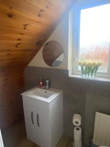 a bathroom with a white sink and a window at Carrickasticken House in Dungooly Cross Roads