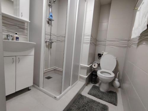 a bathroom with a shower and a toilet and a sink at Apartman Pavlica in Kragujevac