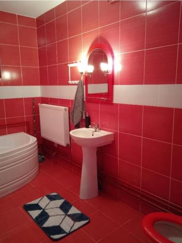a red bathroom with a sink and a toilet at Vila Sabo in Sîntioana