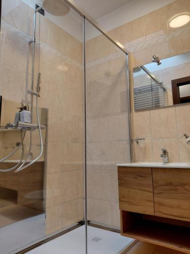 a bathroom with a shower and a sink at Isola Holiday in Feltre