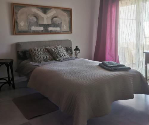 Habitación individual con terraza y vistas