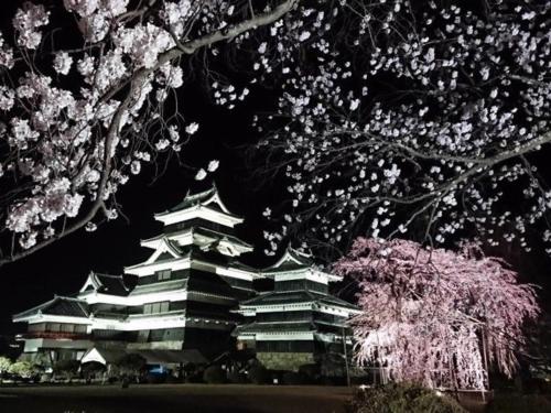 a large building withakura trees in front of it at 欒裏町ouchi uramachi in Matsumoto