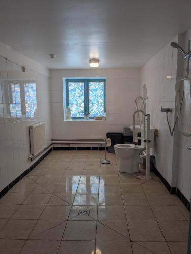 a bathroom with a toilet and a window at Magdalen The Old Dairy in Winsham