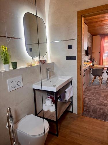 a bathroom with a toilet and a sink and a mirror at Apartmány Hrabušice in Hrabušice