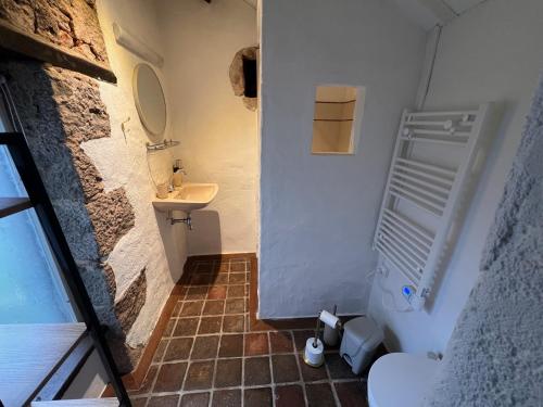 a bathroom with a toilet and a sink at Tiny Gite La Petite Grue in Louroux-Bourbonnais