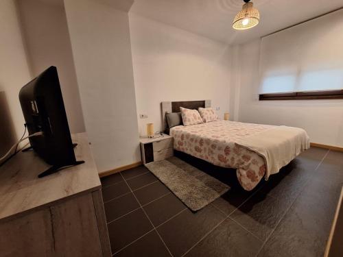 a bedroom with a bed and a flat screen tv at Aldea Bricia 201 in Posada de Llanes