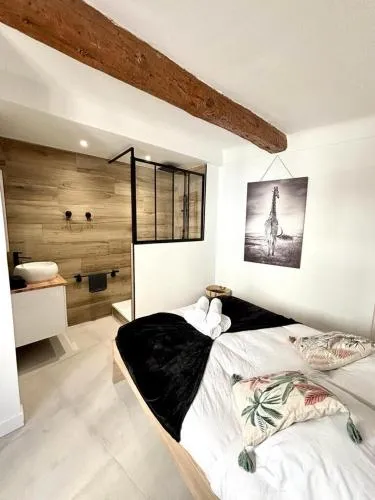 Les Halles Forville - Palais, plages, wifi, clim photo 1