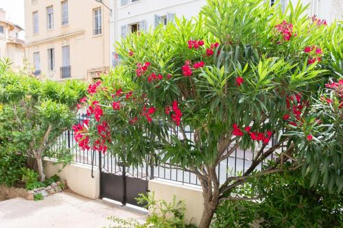 Cannes Holidays - Charmant, authentique, 3 Chambres, calme, Palais & Plage photo 33