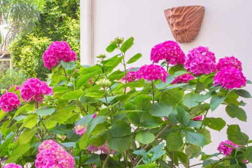 Cannes Holidays - Charmant, authentique, 3 Chambres, calme, Palais & Plage photo 5