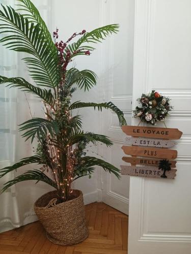 Cannes Holidays - Charmant, authentique, 3 Chambres, calme, Palais & Plage photo 40