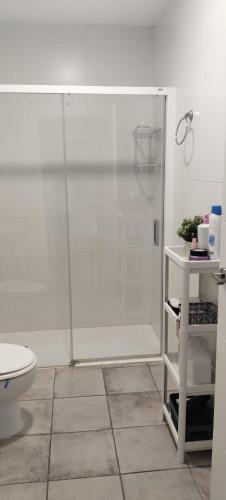 a bathroom with a shower and a toilet at AR El ENCÍN TR-CC-00592 in Valdencin