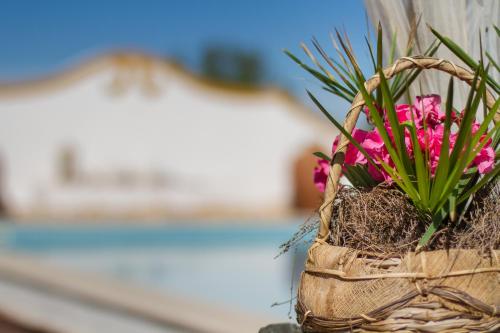 a basket of pink flowers sitting on a table at Monte Chalaça - Turismo Rural in Ferreira do Alentejo
