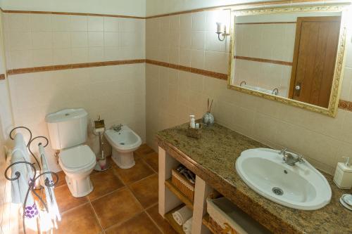 a bathroom with a sink and a toilet and a mirror at Monte Chalaça - Turismo Rural in Ferreira do Alentejo