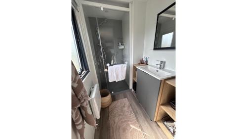 a bathroom with a sink and a mirror at Camping in de Bongerd - Kust&Q in Oostkapelle